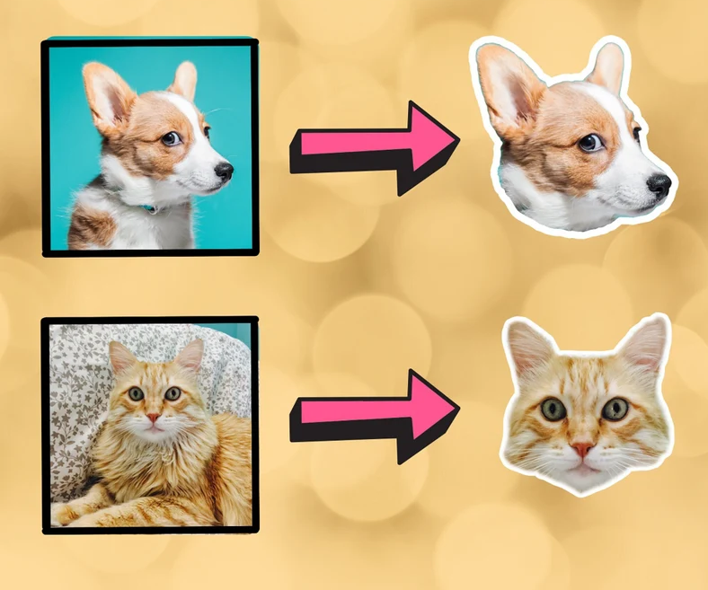 3x Adhesivo personalizado para su mascota