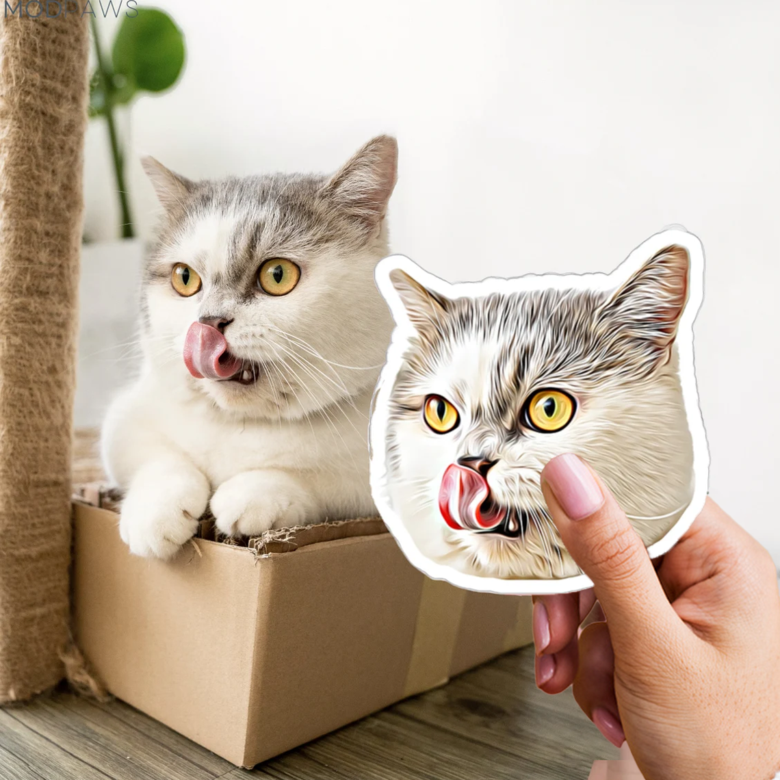 3x Autocollant personnalisé pour votre animal de compagnie